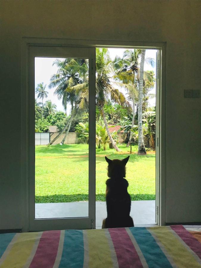 Maike Cabana Boossa ภายนอก รูปภาพ